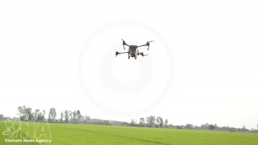 Low-altitude economy emerges as new growth driver for Vietnam